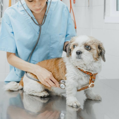 follow up care