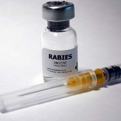 rabies protection